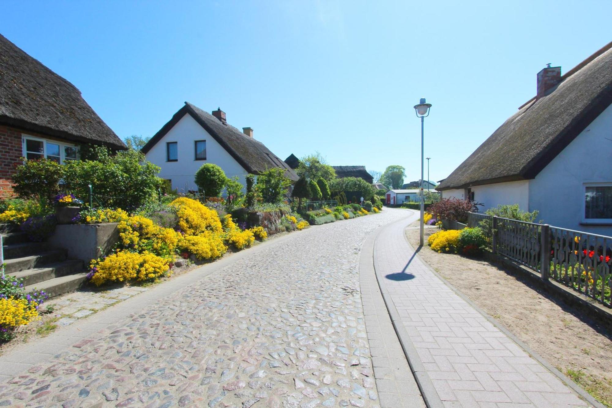 Ferienhaus Distelfink Fewo 04 Terrasse, Meerblick Groß Zicker Buitenkant foto